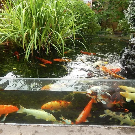 Hébergement de vacances In With Pool & River Nearby *